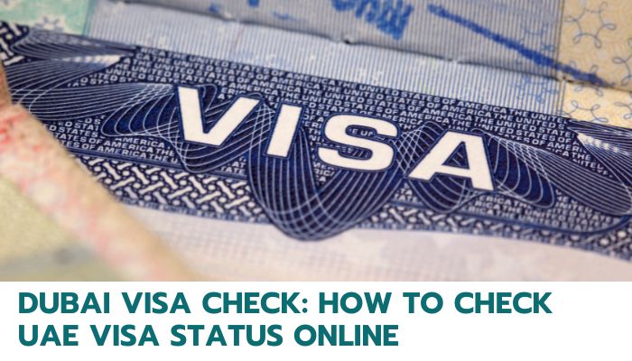 How to Check UAE Visa Status Online