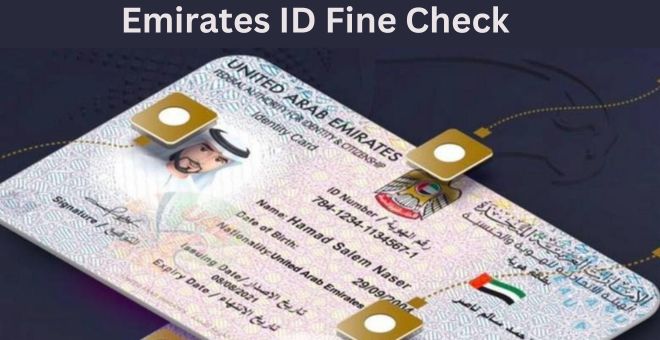 How to Check Emirates ID Fines