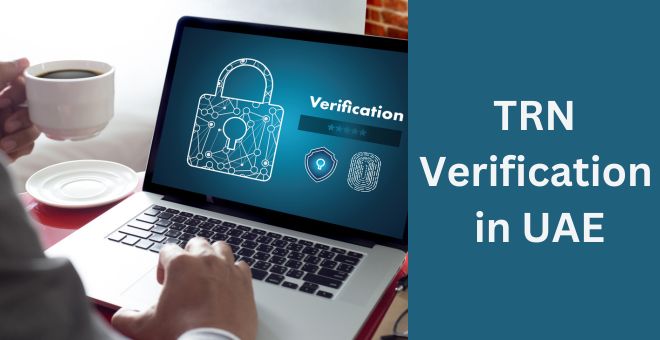 TRN Verification: Check TRN validity online